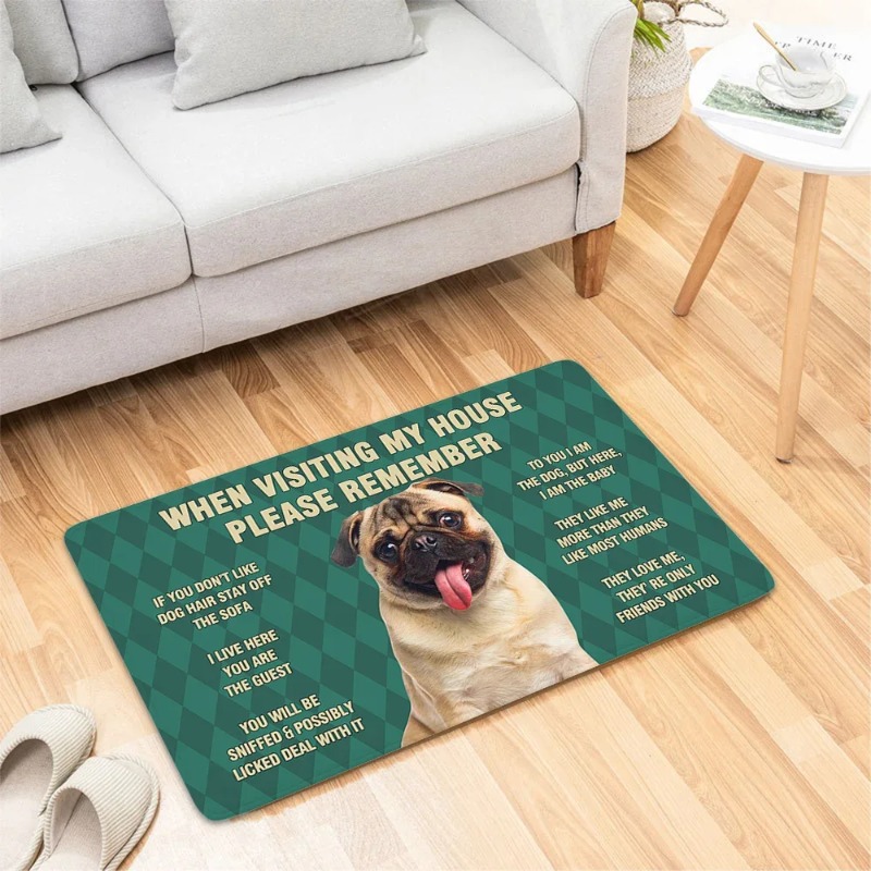 Dog Funny Door Mat Small Carpe - Home Bathroom Reno บทวิจารณ์และราคา